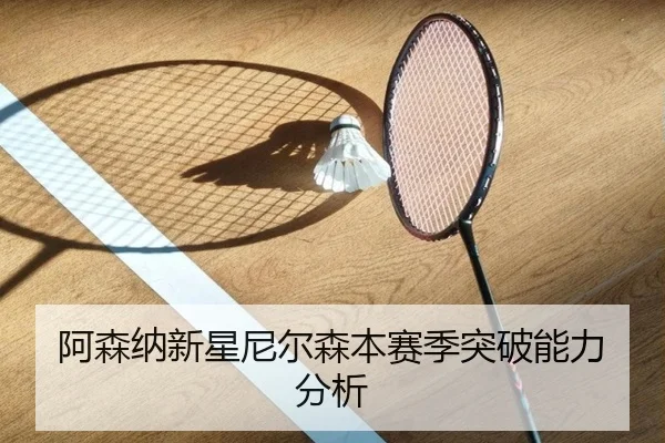 a-sen-na-xin-xing-ni-er-sen-ben-sai-ji-tu-po-neng-li-fen-xi-2-378.jpg